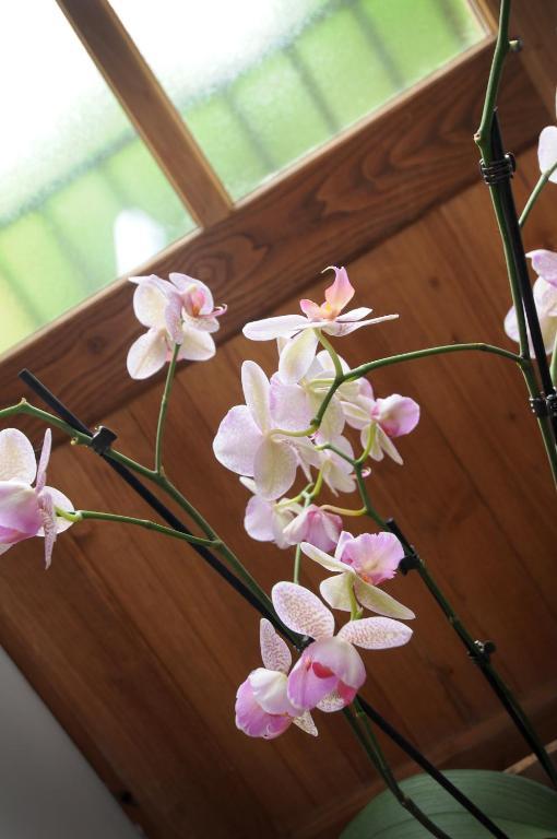 Les Songes De L'Abbaye Bed & Breakfast Cadouin Room photo